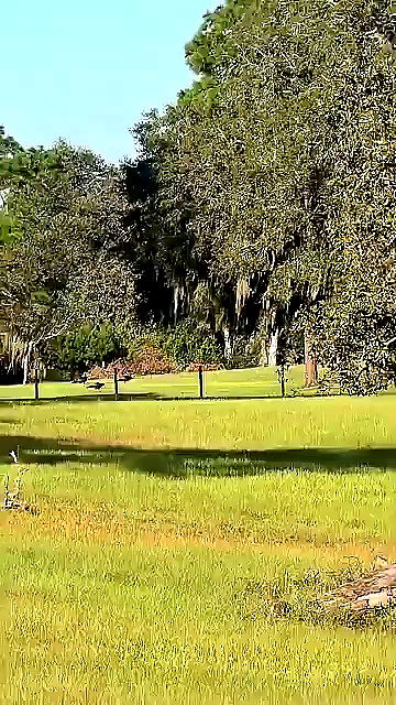 sophieraiin sophieraiin archive video