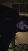 n3m4la_ Altpins Profile Picture