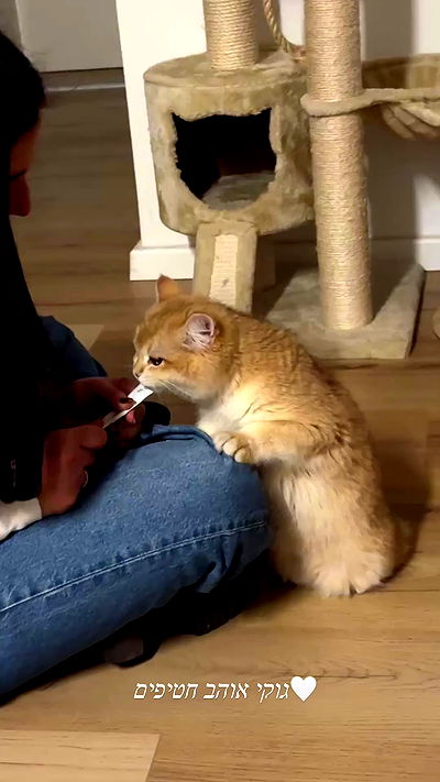 itsilanosh itsilanosh archive video