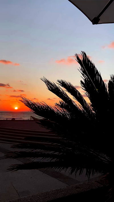 g.a.l.1.a g.a.l.1.a archive video