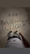 or_hasid Altpins Profile Picture