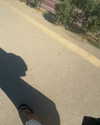 ___shachar Altpins Profile Picture