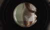 madisonbeer Altpins Profile Picture