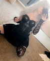 glizzygobblerx Altpins Profile Picture
