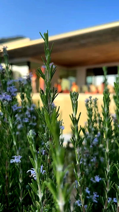 talweisswasser talweisswasser archive video