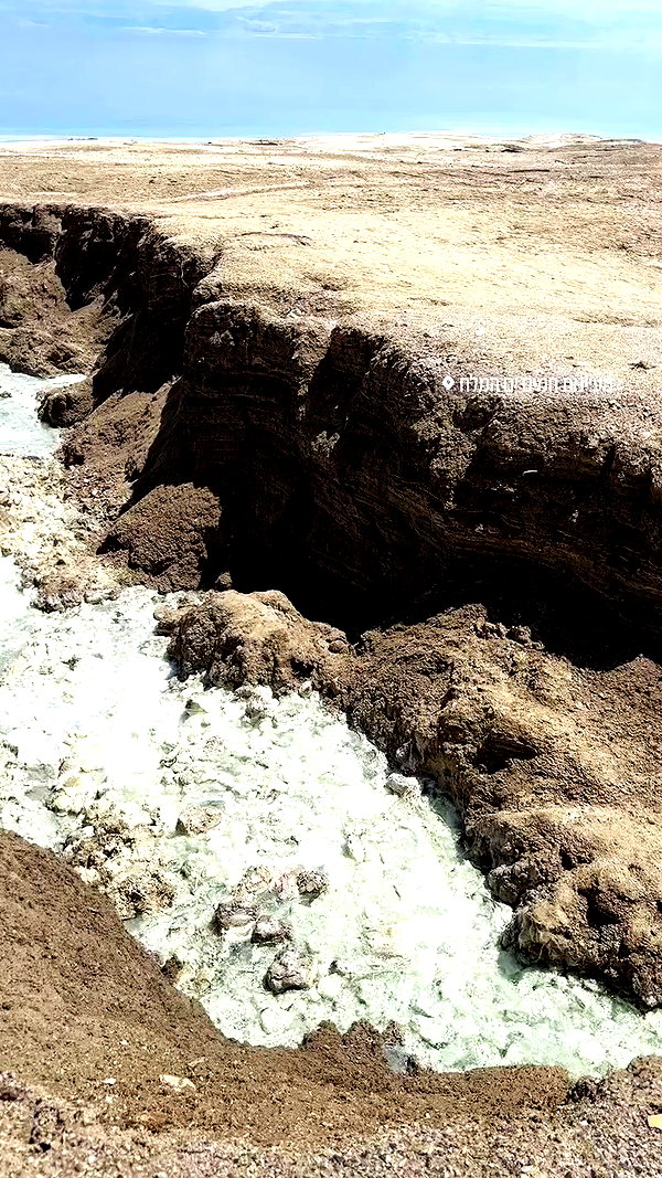 liad.arazi archive video preview
