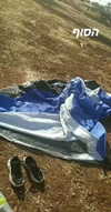 yanna_ship Altpins Profile Picture