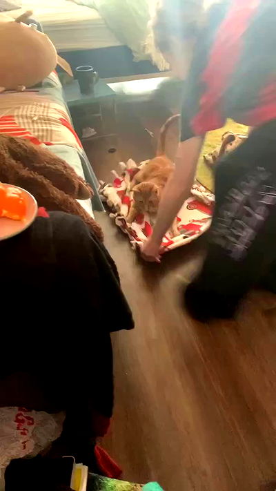 winbun.io winbun.io archive video