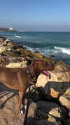 milena_kofef Altpins Profile Picture