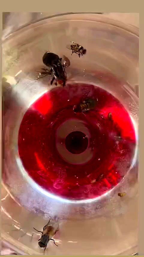 xzot1_met4xx archive video preview