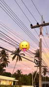 yumisback17 Altpins Profile Picture