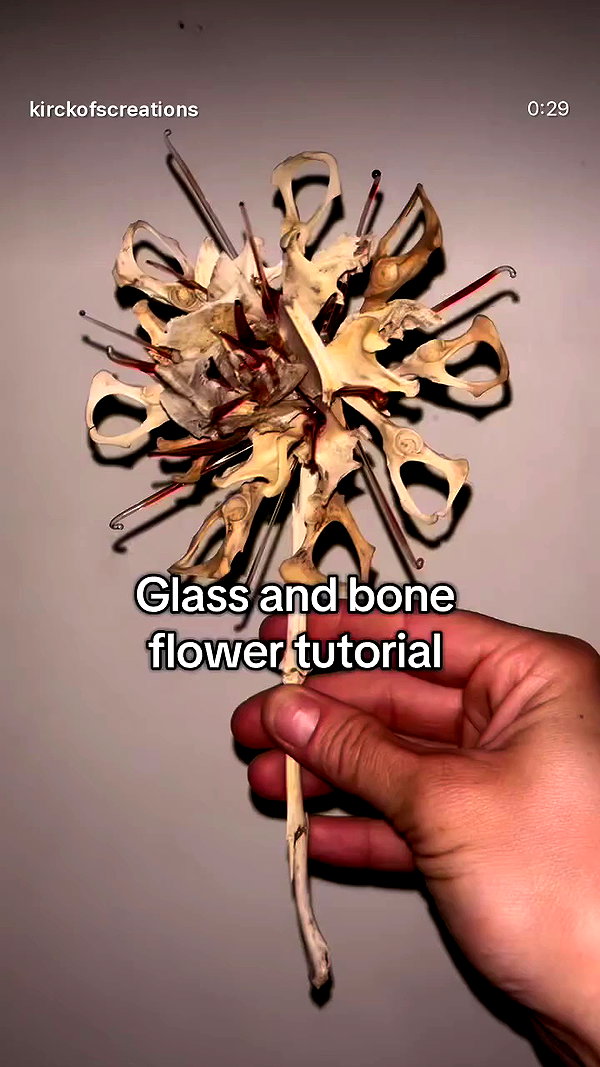 wormfood____ archive video preview
