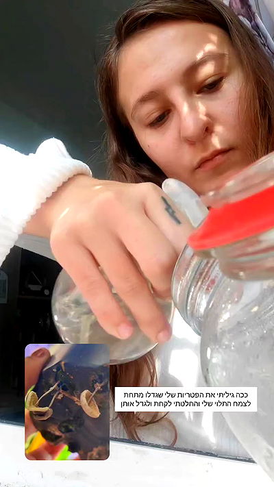 1justsabi 1justsabi archive video