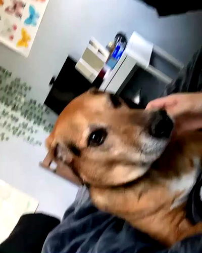 dakotabell05 dakotabell05 archive video