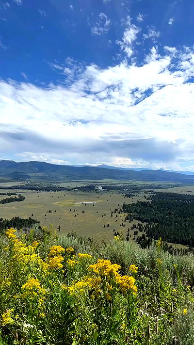 carolinezalog carolinezalog archive video