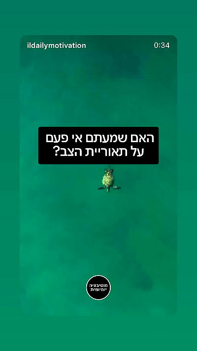 _lil_noa_ _lil_noa_ archive video