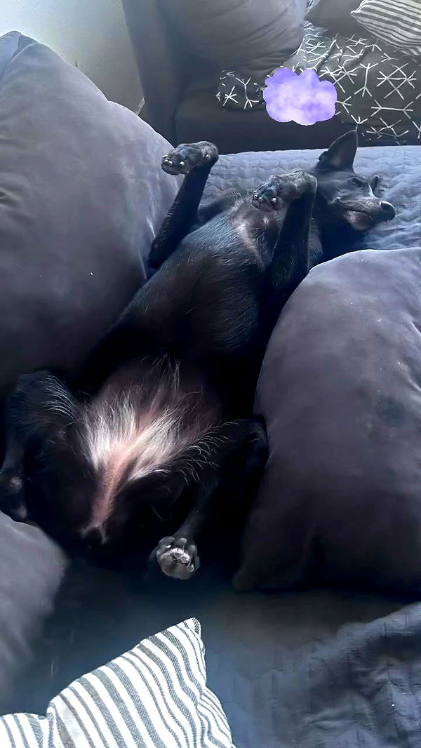 hellokittyangel666 archive video preview