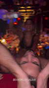 galibilaus Altpins Profile Picture