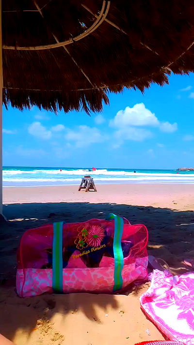 yam_adler yam_adler archive video