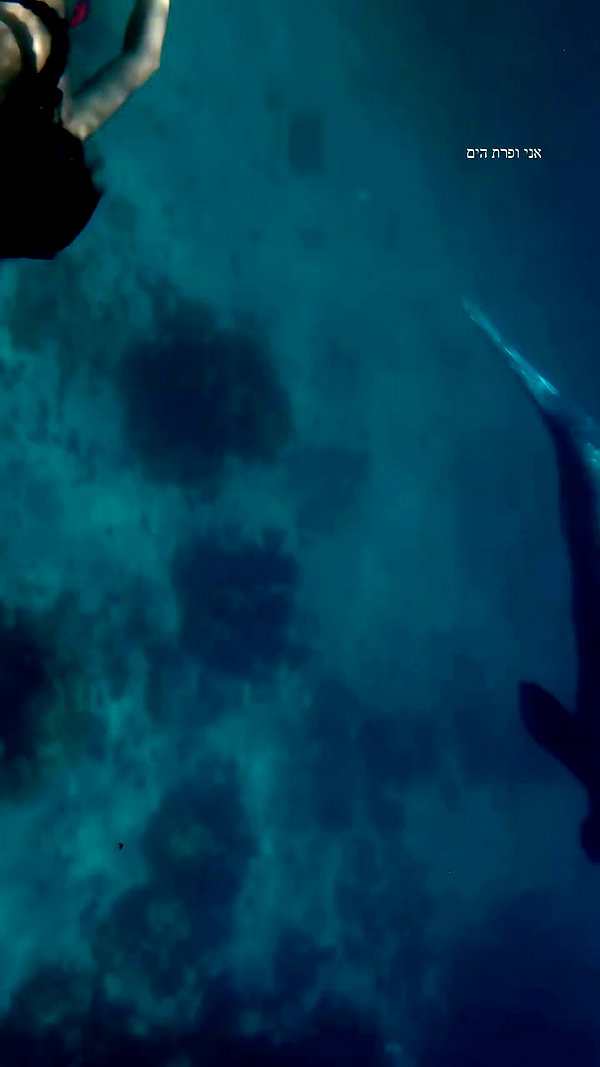 romy.benshushan archive video preview