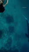 romy.benshushan Altpins Profile Picture
