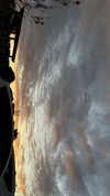 _kayleewray_ Altpins Profile Picture