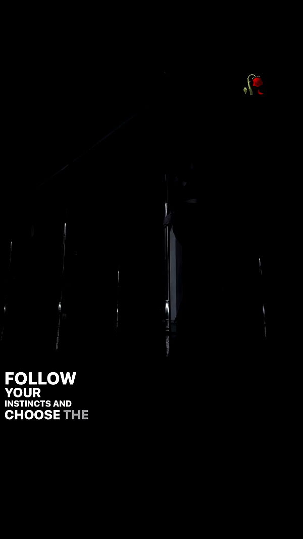 lital.shli archive video preview