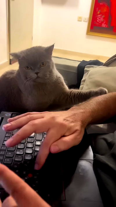 hellokittyangel666 hellokittyangel666 archive video