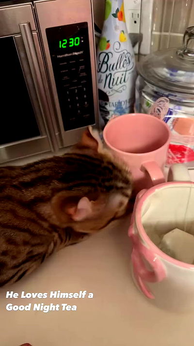 laurinchhhe laurinchhhe archive video