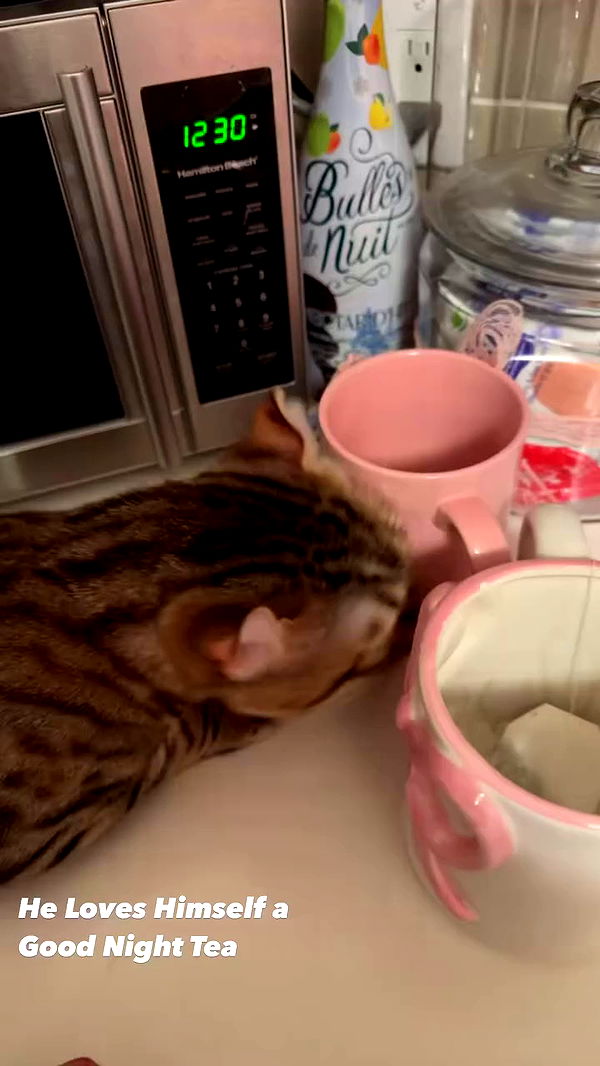 laurinchhhe archive video preview