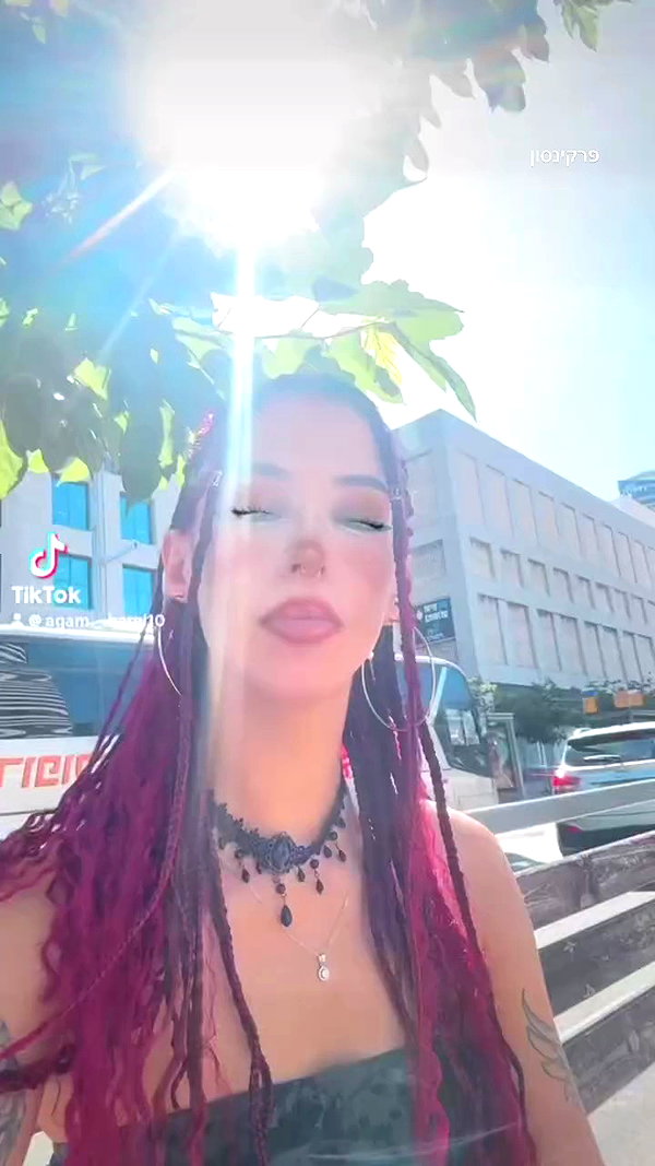 agam._.harel archive video preview