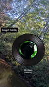 zz.eazoning Altpins Profile Picture