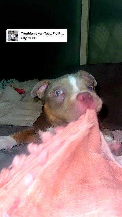 kesemgreenyer kesemgreenyer archive video