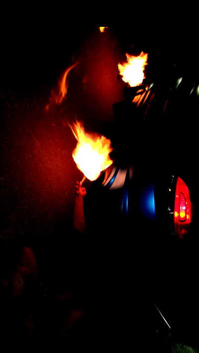 simp_for_cats_ simp_for_cats_ archive video