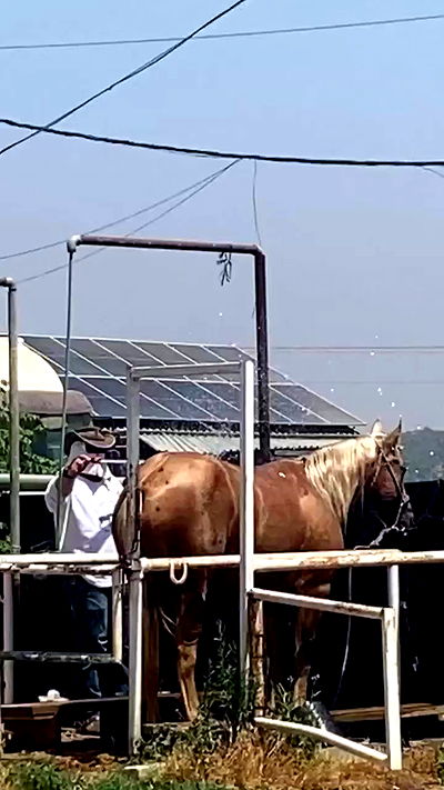 dustheadd dustheadd archive video