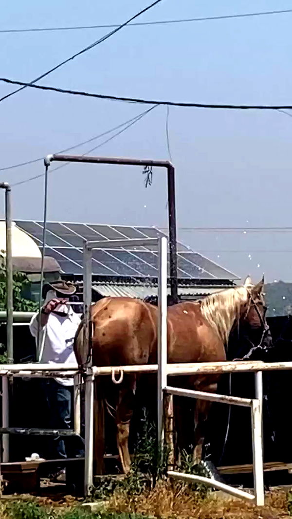 dustheadd archive video preview