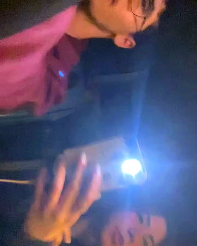 tuliprivet tuliprivet archive video