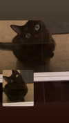 thelovewltch Altpins Profile Picture