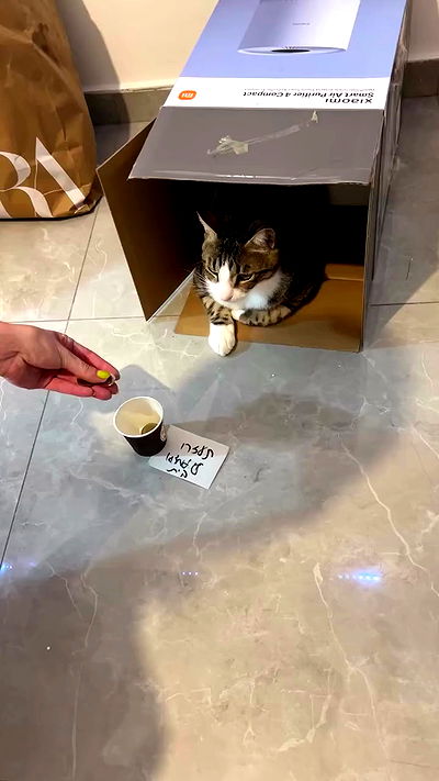 lila.garnik lila.garnik archive video