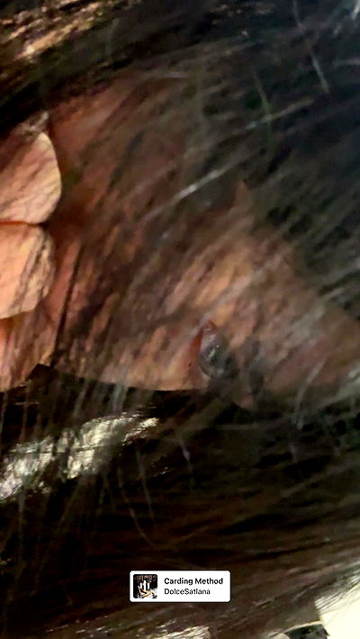 moonliliaght moonliliaght archive video