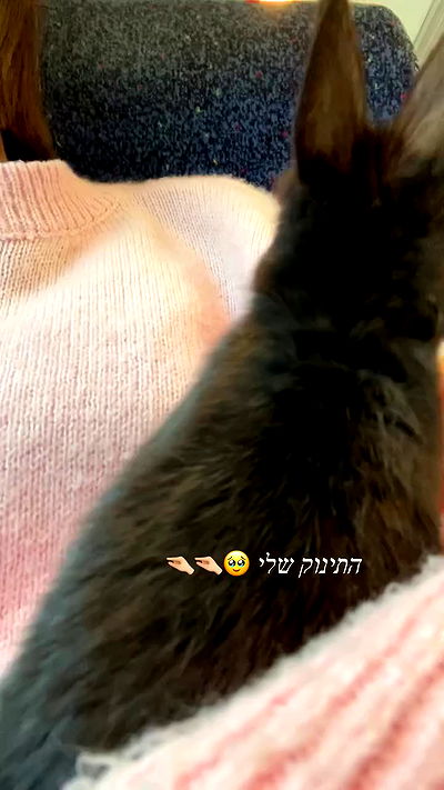 efrat_elmalich efrat_elmalich archive video