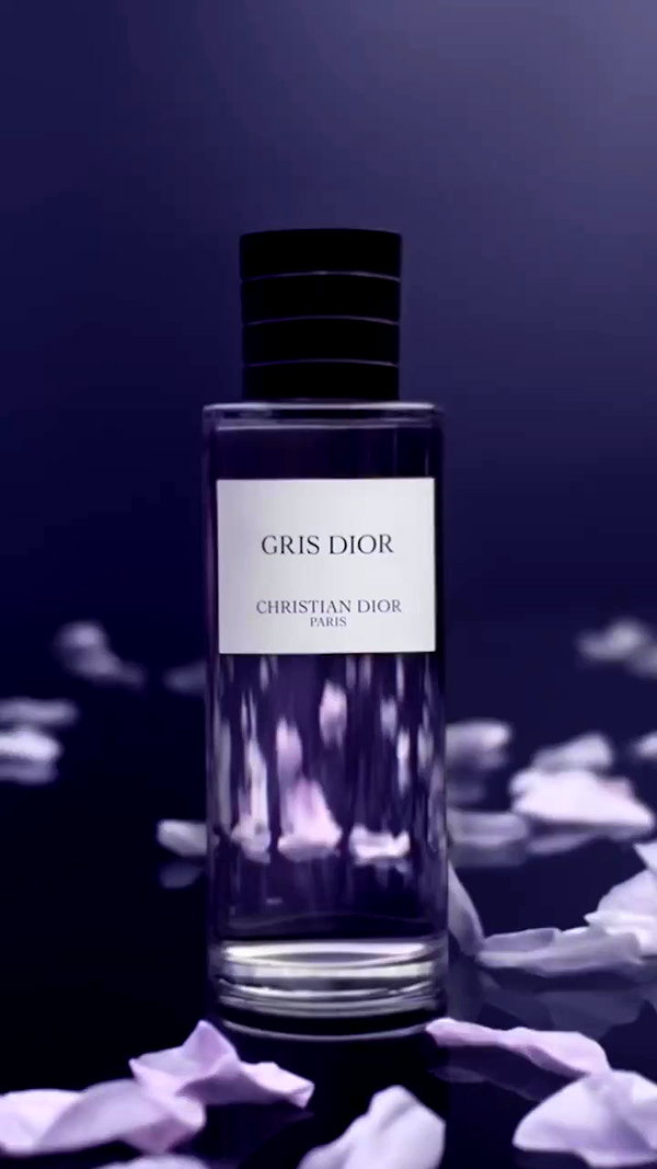 dior archive video preview