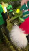 bookofcarley Altpins Profile Picture