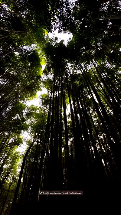 neomiconrad neomiconrad archive video