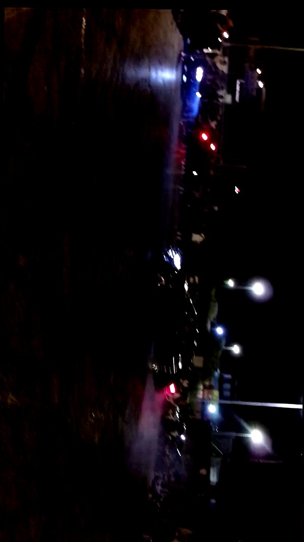 simp_for_cats_ archive video preview
