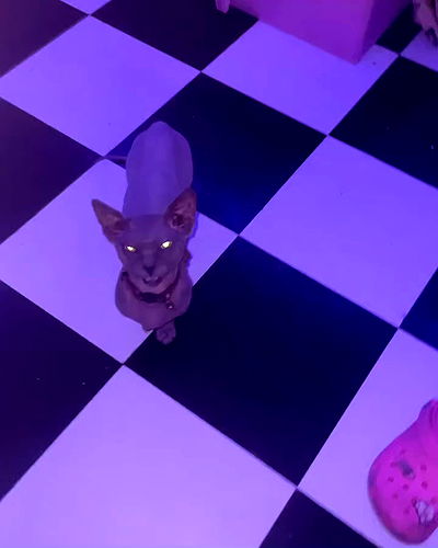 iluvmeww iluvmeww archive video