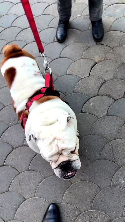 yannaidebeer yannaidebeer archive video