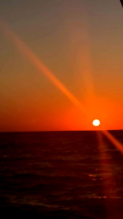 romy_ayalla_lavi romy_ayalla_lavi archive video