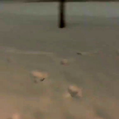 annfigma annfigma archive video