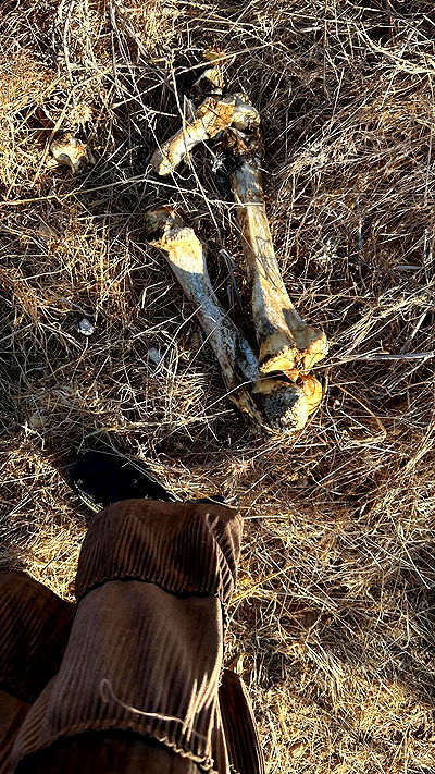 feelbetterinmysweater feelbetterinmysweater archive video